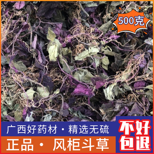新鲜正宗野生风柜斗草小叶福建风鼓草干品风谷草红杆风骨草楮头红
