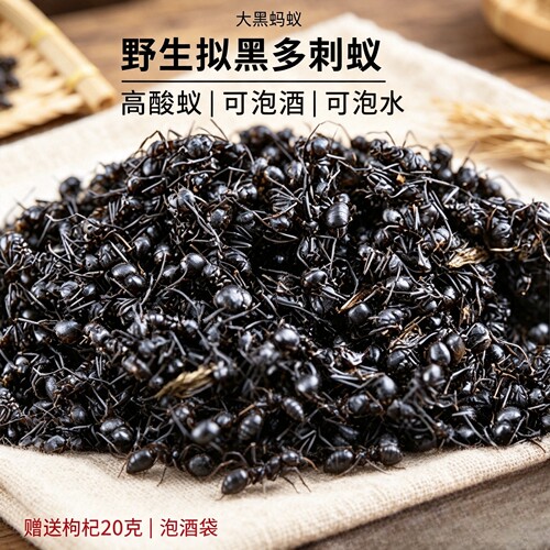 广西野生黑蚂蚁干正品拟黑多刺蚁食用泡酒料500克另售冰冻生蚂蚁