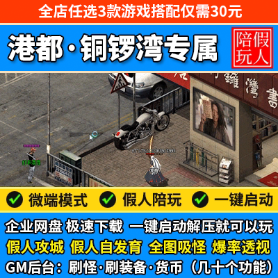 热血传奇单机版电脑港都专属铜锣湾现代风单职业假人陪玩微端光柱
