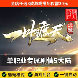 热血传奇单机版电脑一叶遮天单职业专属五个大陆假人陪玩微端光柱