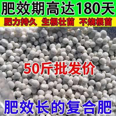 盆栽小麦玉米蔬菜通用型水果肥料