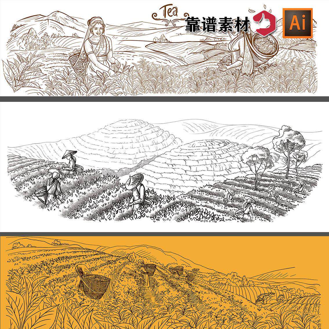 手绘素描采茶女姑娘茶叶茶园茶山线描插画ai矢量设计素材
