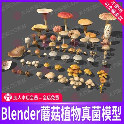 Blender蘑菇植物真菌模型C4D源文件森林真菌灵芝模型OBJ植物菌类