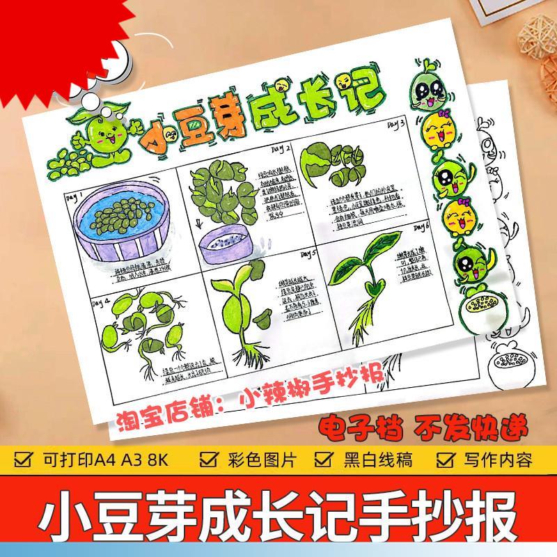 可打印小豆芽成长记手抄报电子模板植物生长观察日记小学生记录表