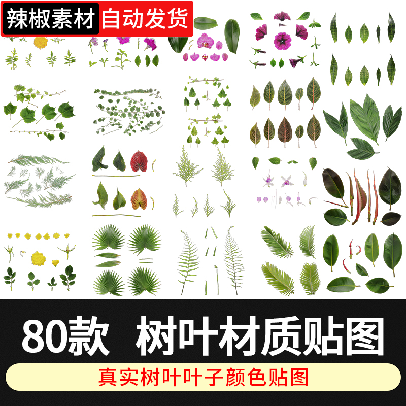 C4D树叶落叶全通道树叶写实扫描纹理套件树叶贴图树叶blender材质