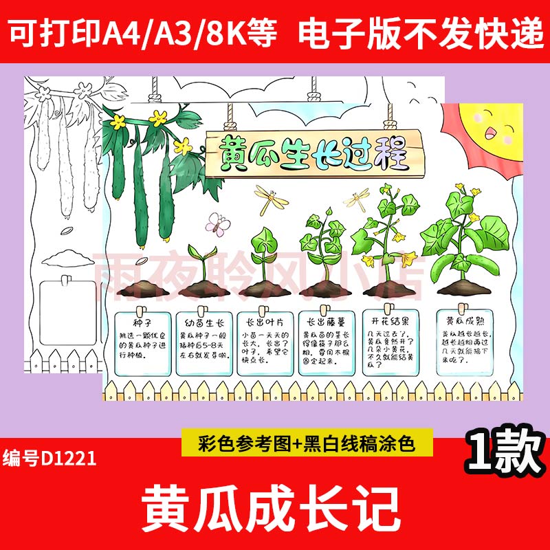 黄瓜生长过程成长记手抄报模板小学生植物蔬菜观察自然笔记线稿A4