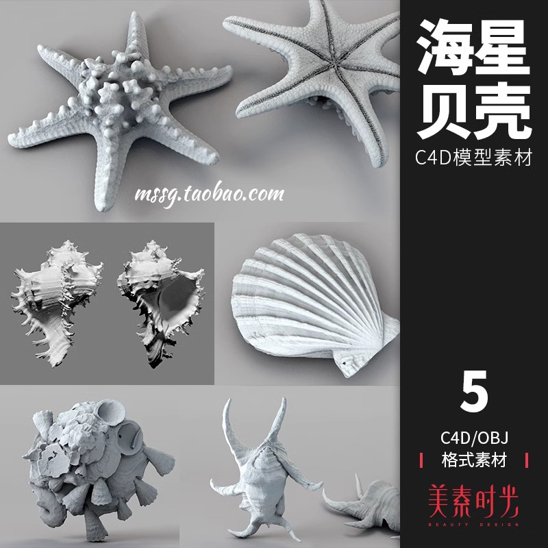 海洋水生物六角海星贝壳扇贝海螺C4D模型OBJ格式素材高精白模C371