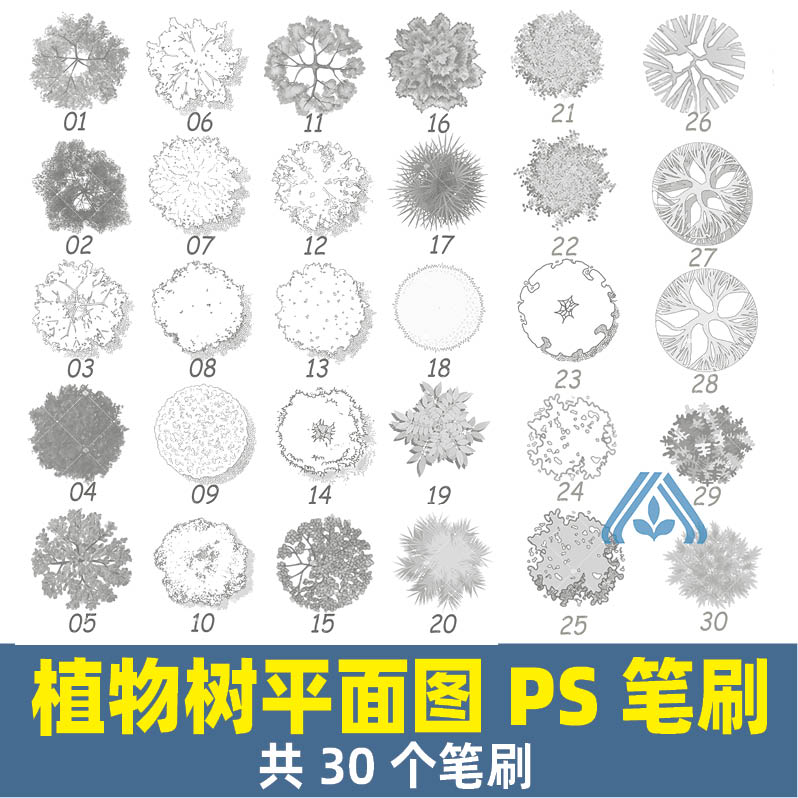 175园林景观平面树PS笔刷abr素材PS黑白线稿风平面图植物画笔素材