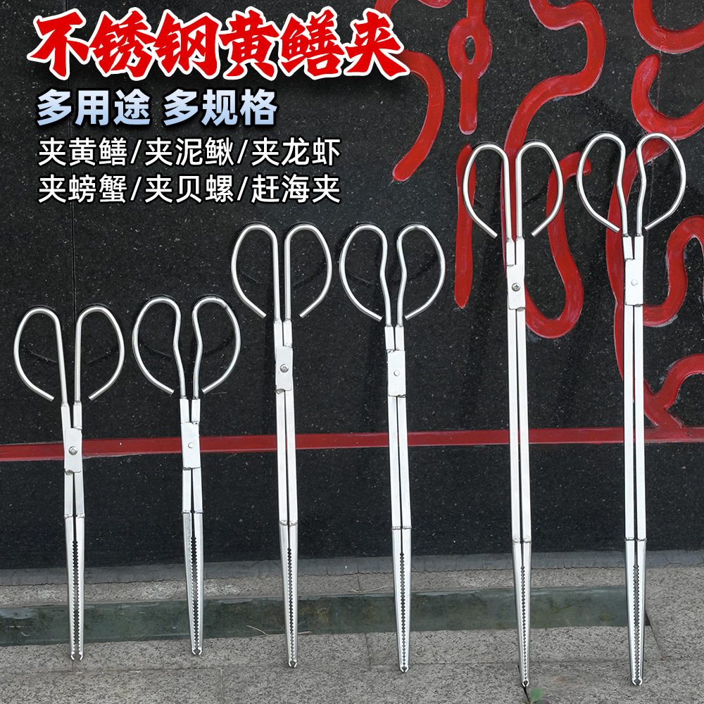 黄鳝专用夹子不锈钢螃蟹夹