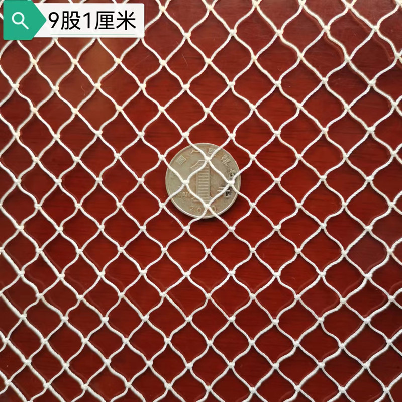 沭渔加粗小孔尼龙网养殖网防鸟网