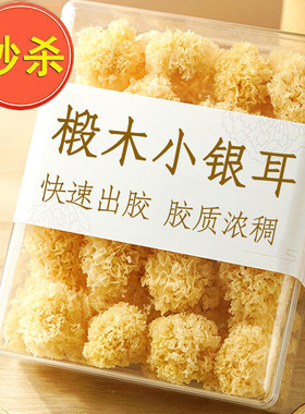 特级椴木小银耳新货野生糯耳羹出胶雪耳古田干货白木耳无硫丑耳