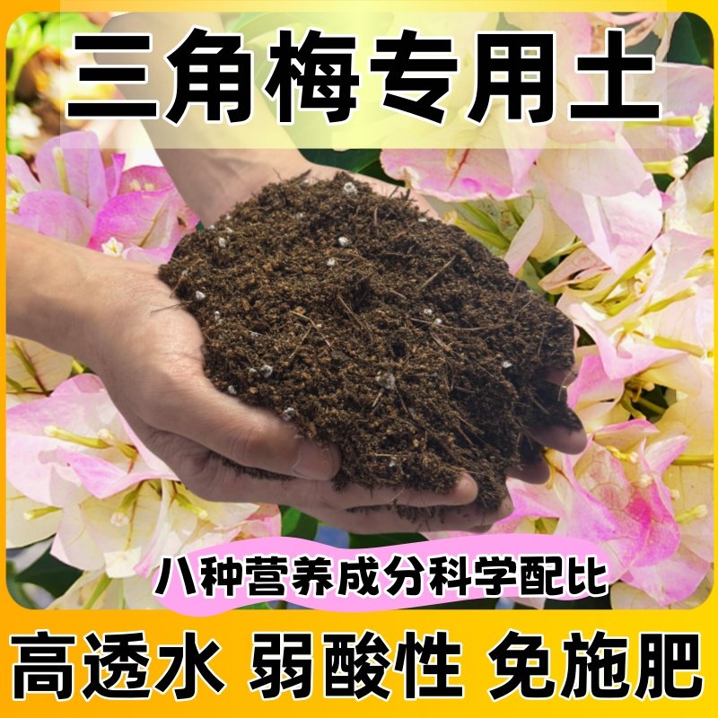 三角梅专用土营养土腐熟松针养花疏松透气优质家用批发种植盆栽,鲜花速递/花卉仿真/绿植园艺,家庭园艺肥料,淘宝优惠券,粉丝福利购,淘宝优惠卷