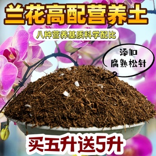 兰花专用土营养土腐熟松针养花疏松透气优质家用批发种植盆栽酸性