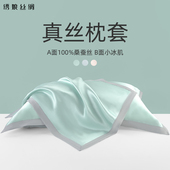 绣娘丝绸新款 真丝枕套单面100%桑蚕丝礼盒送礼单个凉感天丝枕头套