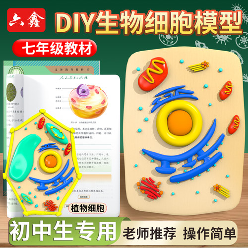 初中生diy生物细胞结构模型套装