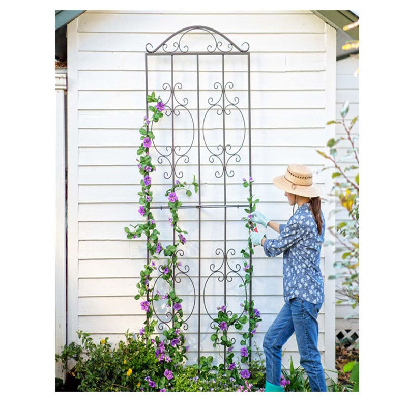 铁艺爬藤架攀爬花支架爬藤支架花盆支架 铁线莲爬藤架花支撑篱笆,鲜花速递/花卉仿真/绿植园艺,花架,淘宝优惠券,粉丝福利购,淘宝优惠卷