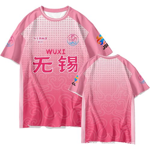 2026苏超联赛球衣比赛训练球迷速干短袖T恤衫男女半袖13球队团服