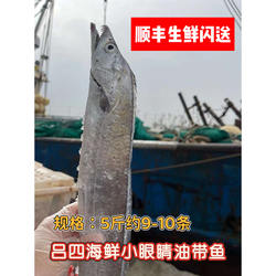 吕四带鱼小眼睛大带鱼深海油带鱼新鲜冷冻海鲜水产整条对切发货