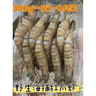 吕四海鲜野生捕捞红爪虾斑节虾冷冻大虾7-8只一盒顺丰包邮