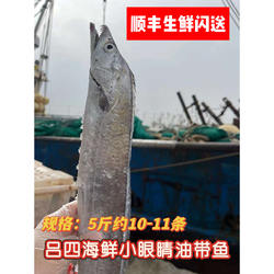 吕四带鱼小眼睛大带鱼深海油带鱼新鲜冷冻海鲜水产整条对切发货