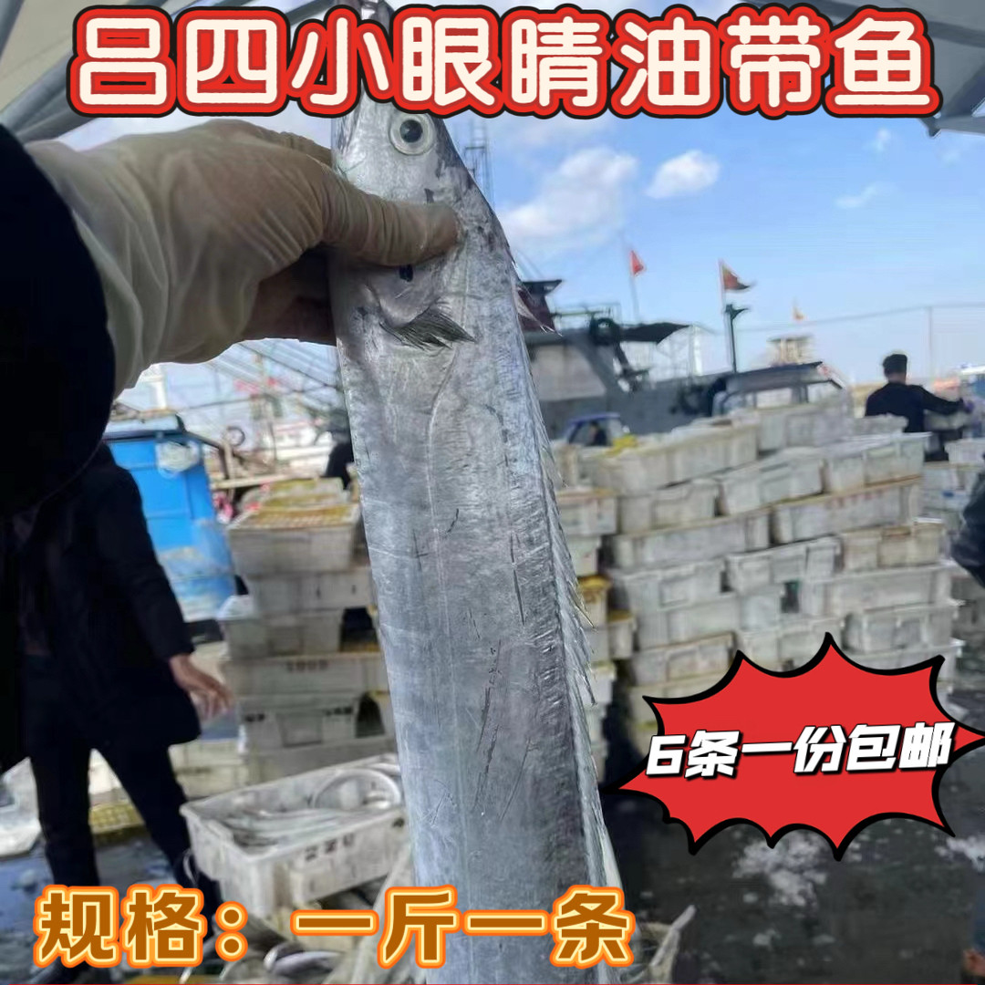吕四渔港野生海捕油带鱼老鹰带一斤/条新鲜速冻6条装整条对切发货