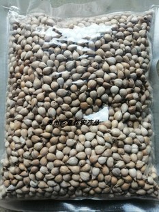 一斤新款无糖2贵州兴仁小白壳薏仁米薏苡仁薏米种子农家自产种子