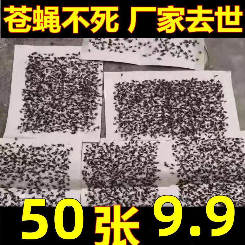 苍蝇贴强力纸板神器专用商用