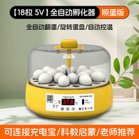 Incubator, Luting chicken chick incubator, small household intelligent incubator, water bed parrot fully automatic incubator thumbnail 6