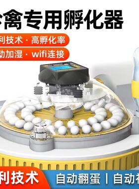 孵化器小型家用全自动孵化机智能小飞碟孵蛋器鹦鹉芦丁鸡鸟蛋孵化