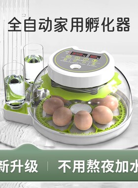 暖福宝孵化机全自动高孵化率