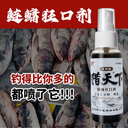 腥臭味方块饵野钓鲢鳙小药