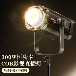 锐富图300W大功率直播补光灯主播专用led专业摄影拍摄人像美颜直播间拍照室内服装灯光球形深抛影棚常亮灯