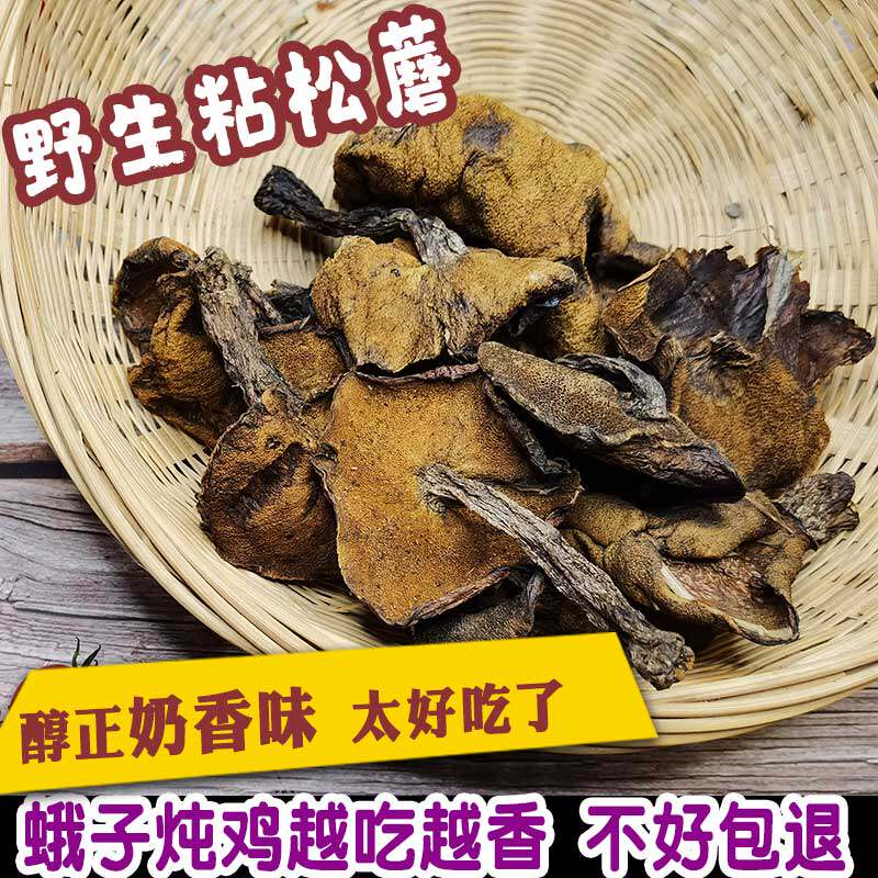 野生松蘑粘团子松蛾子沂蒙山特产香菇类