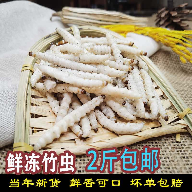 云南特产野生竹虫竹蜂虫鲜新活速冻竹蛹竹节虫包邮干冻无冰竹虫