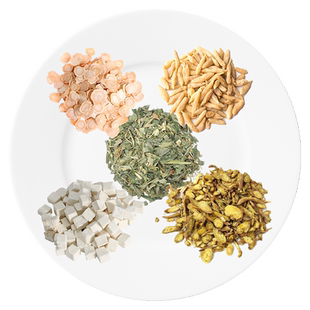 竹叶汤 证治准绳 清心除烦泻火养胎经典方饮片按方抓药中药材抓配