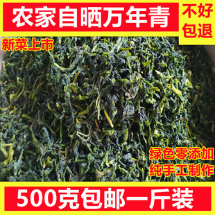 500g 包邮 精挑万年青干优质青菜干鲜嫩菜芯脱水蔬菜干橄榄菜油菜干