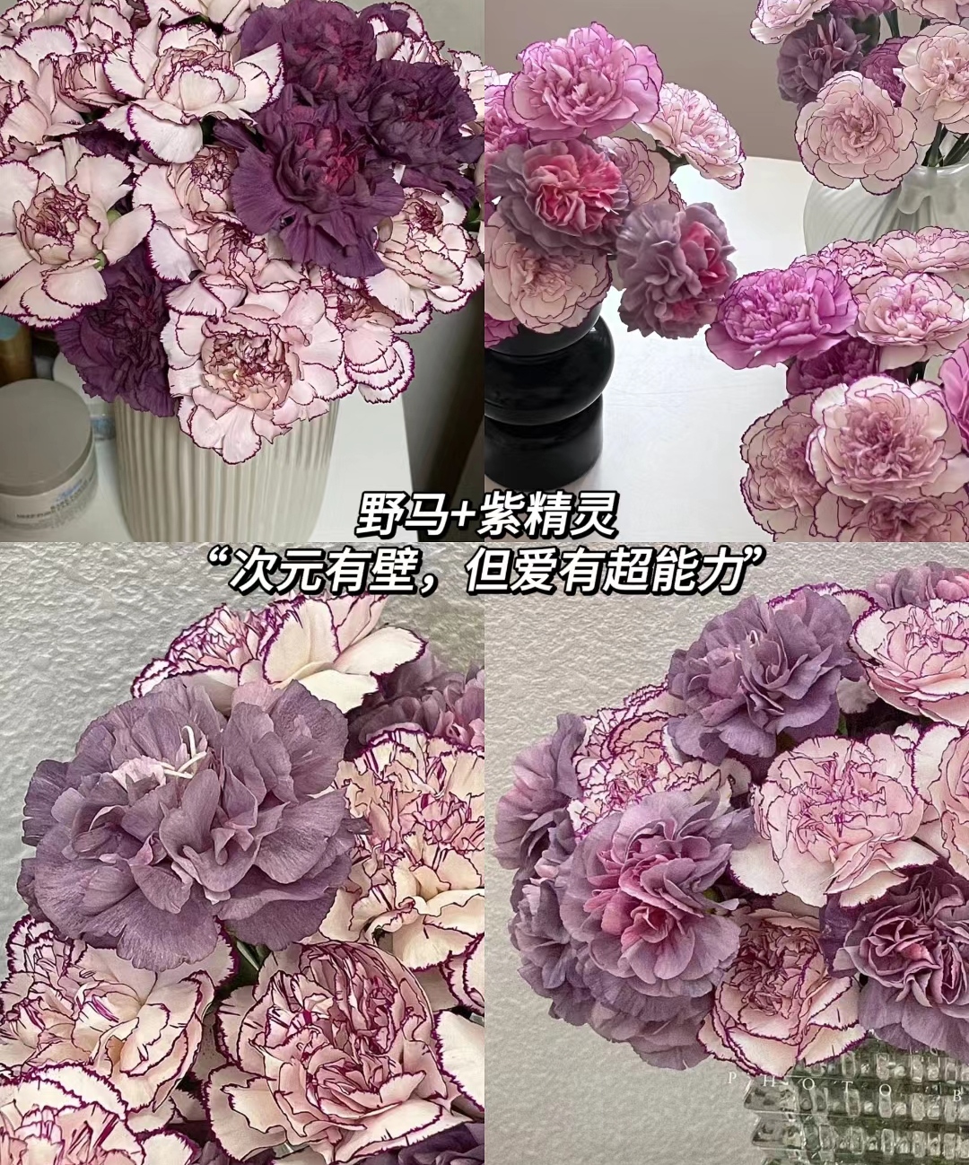 送人混搭花束紫精灵野马康乃馨cp款云南昆明基地鲜花速递直发