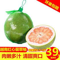 越南青皮红肉红心翡翠柚大果  非泰国西施白糖蜜柚 新鲜孕妇水果