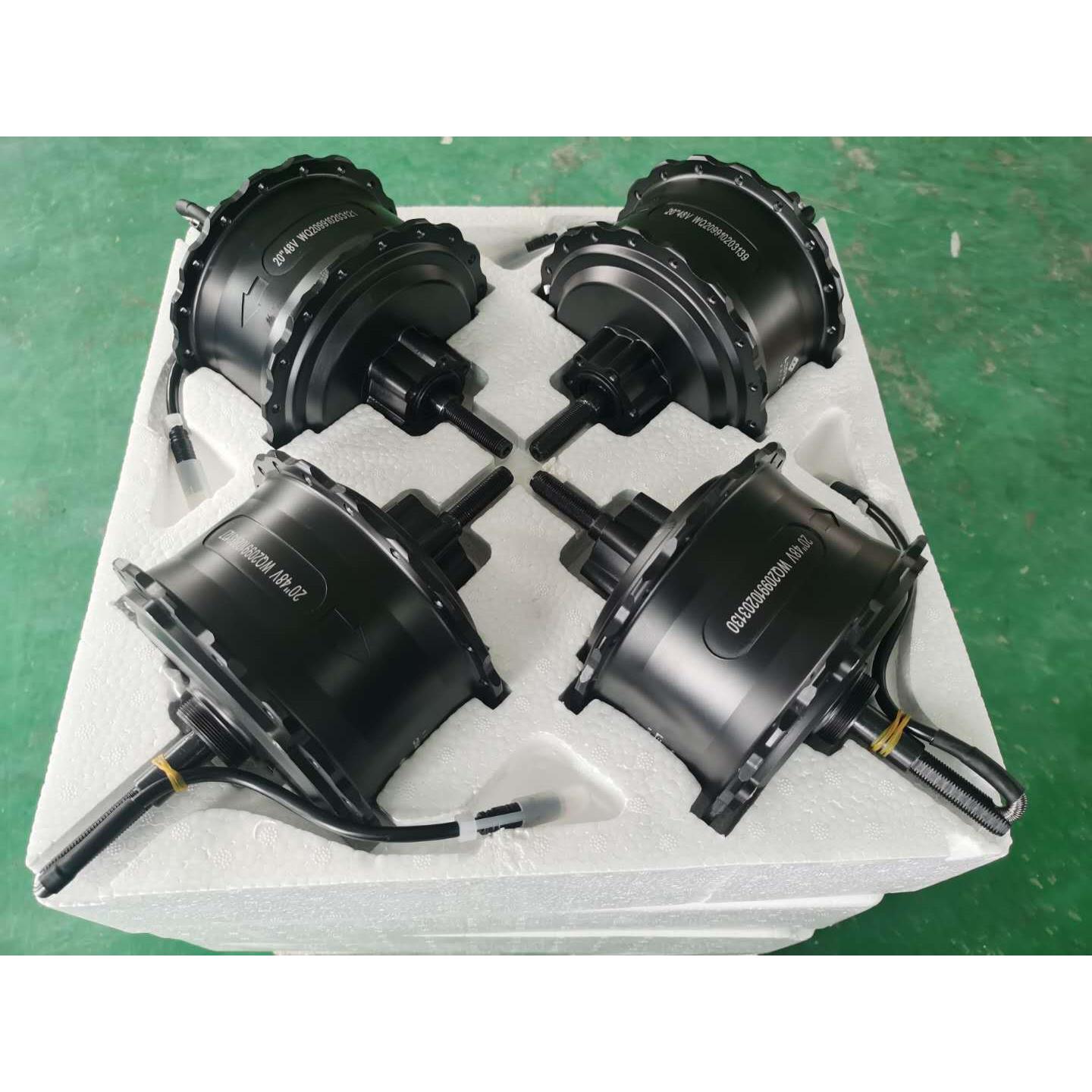 10沙0W雪车QH-S-100电机（滩车电机0地）