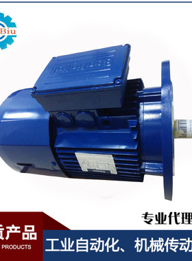 供应意大利邦飞利偏航电机制动电机BN100LA4 LB4 刹车马达 制动器