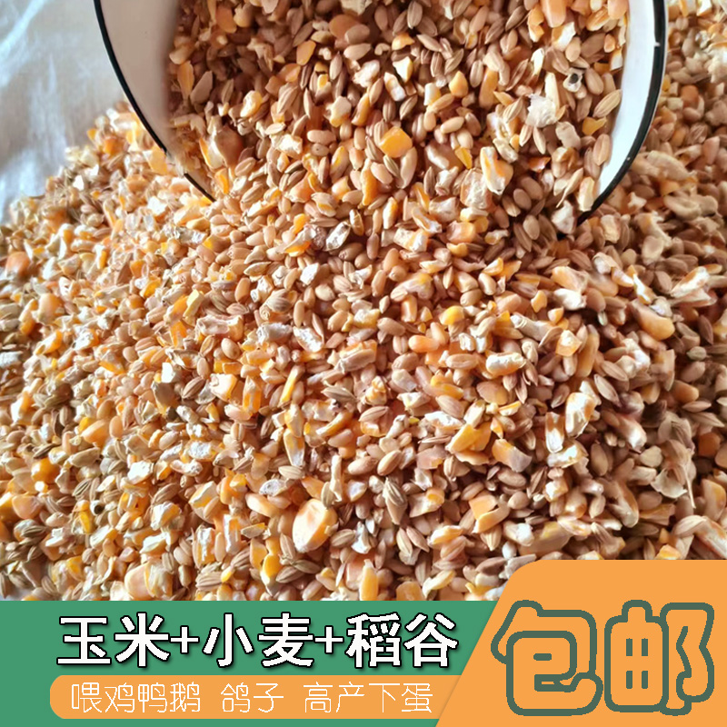 碎玉米粒稻谷混合物喂鸡玉米粉碎渣玉米糁鸡鸭粮食鸽子粮兔猪仓鼠