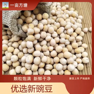 白豌豆生豌豆干豌豆带皮豌豆五谷杂粮信鸽鸽粮鸽子饲料