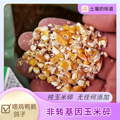 玉米碎鸡鸭鹅饲料玉米粒玉米糁玉米碎膨化棒玉米棒子玉米渣