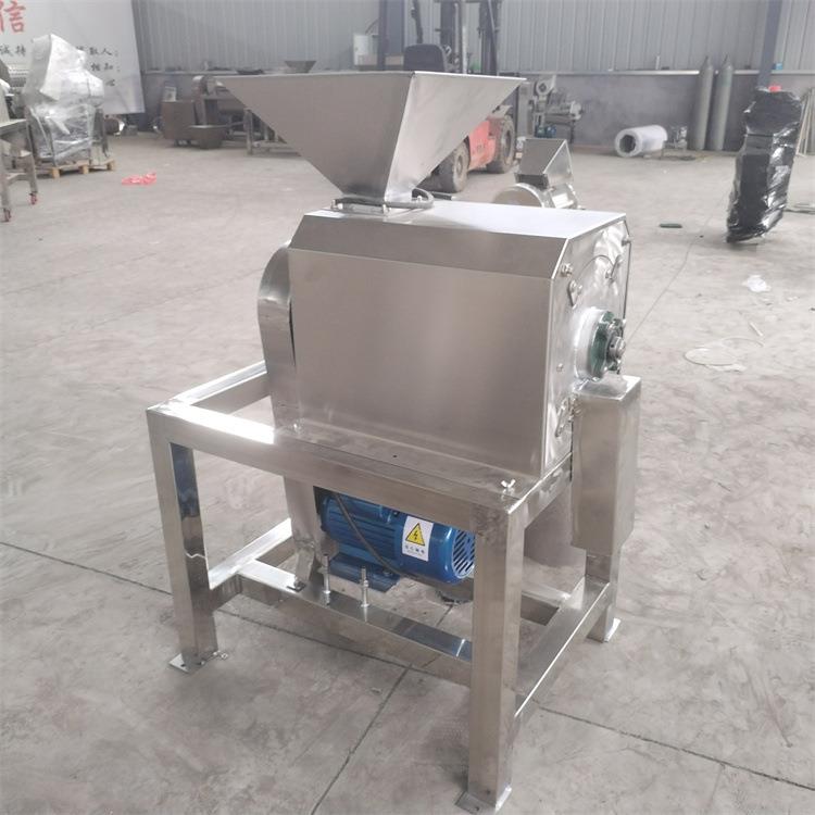 黄皮果杨梅去核打浆机商用红枣芒果去皮去籽打浆不锈钢打浆设备