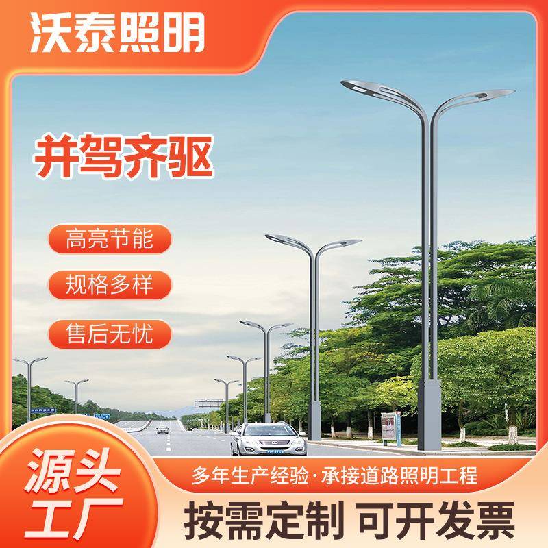 厂家直销6米8米10米LED景观路灯户外防水路灯