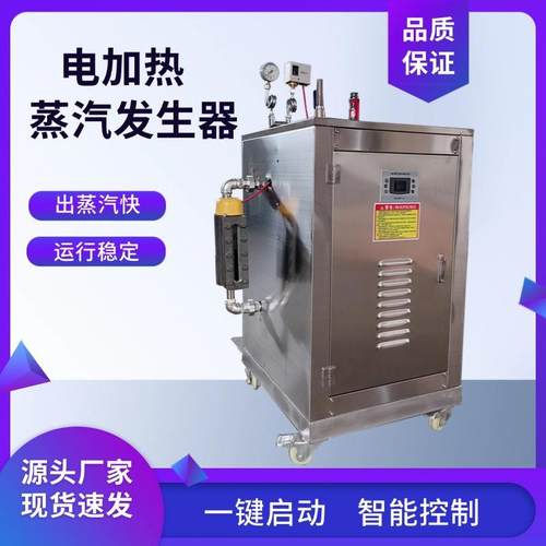电加热蒸汽发生器水泥预制块公路桥梁养护加热烧水保温蒸汽锅炉