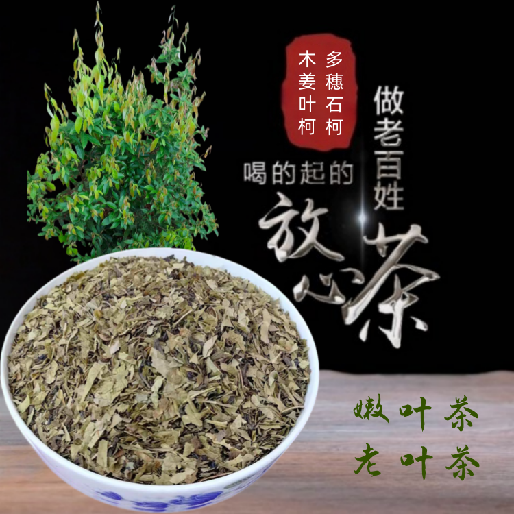多穗石柯木姜叶柯美康王茶野生嫩叶/老叶甜茶三非高茶压脂糖降血