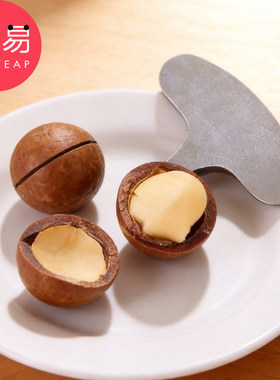 开壳器D1zoq001-夏威夷果坚果开口器一字刀小工具水果碧根果开果