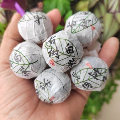 普洱茶特价白茶龙珠颐龙号古树白茶一粒一泡方便携带包邮