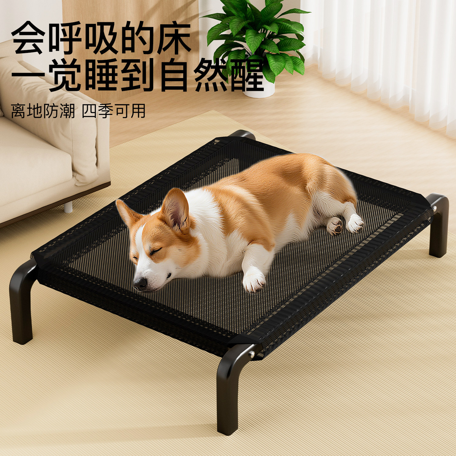 狗狗行军床四季通用离地防潮猫窝狗窝狗床夏日睡小中型犬猫狗垫子,宠物/宠物食品及用品,狗窝/屋/帐篷/沙发,淘宝优惠券,粉丝福利购,淘宝优惠卷